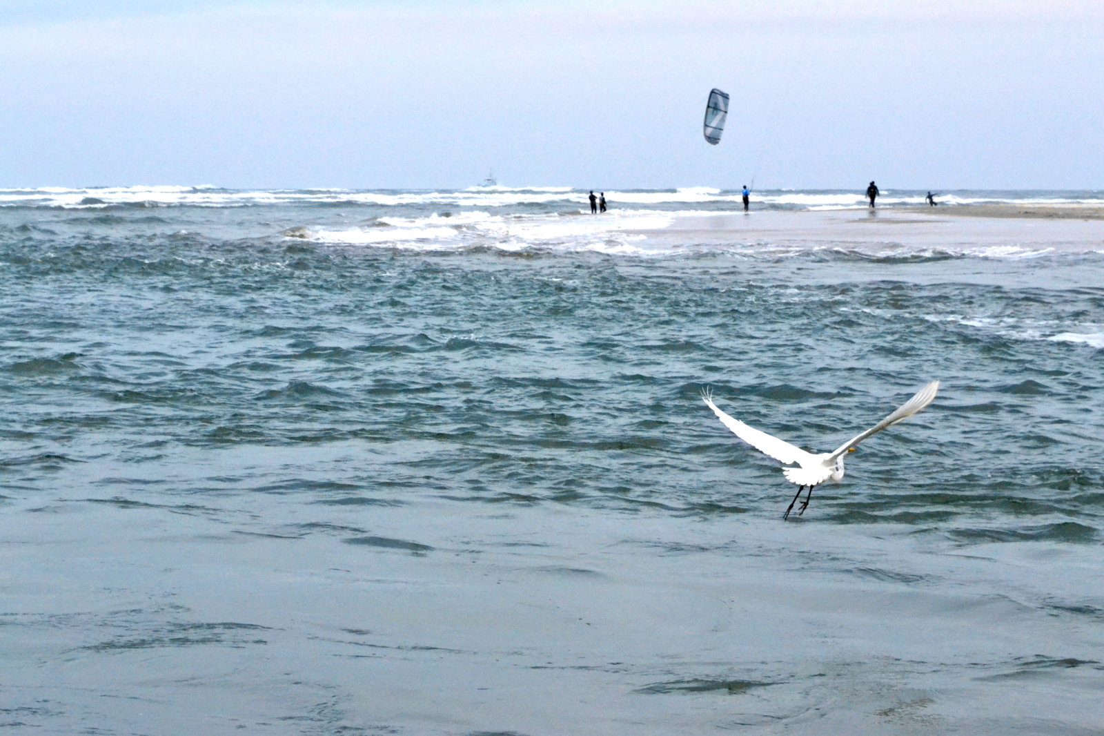 DSC 0009-