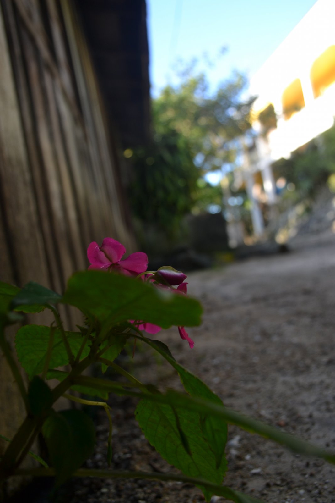 DSC 0046
