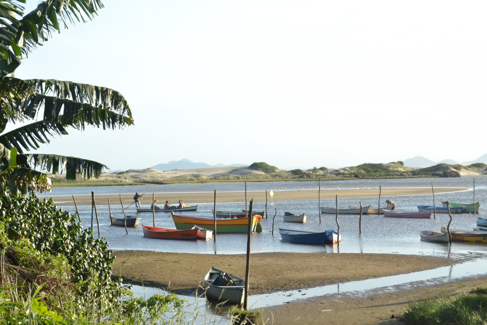 DSC 0062