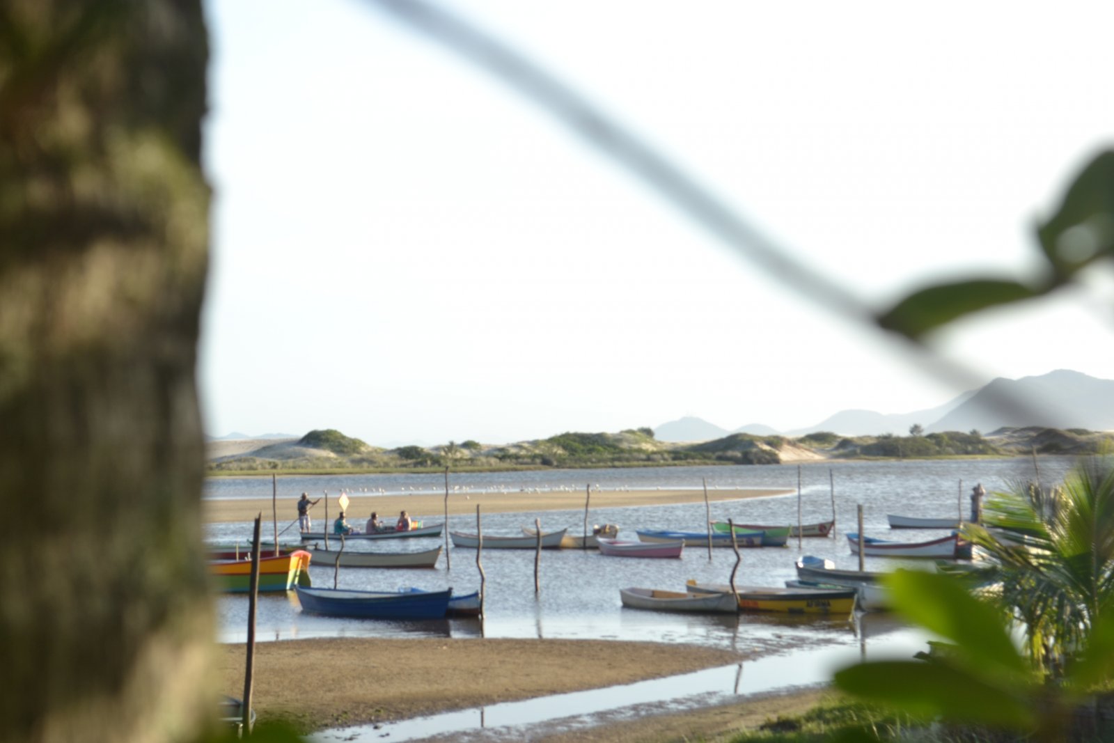DSC 0063