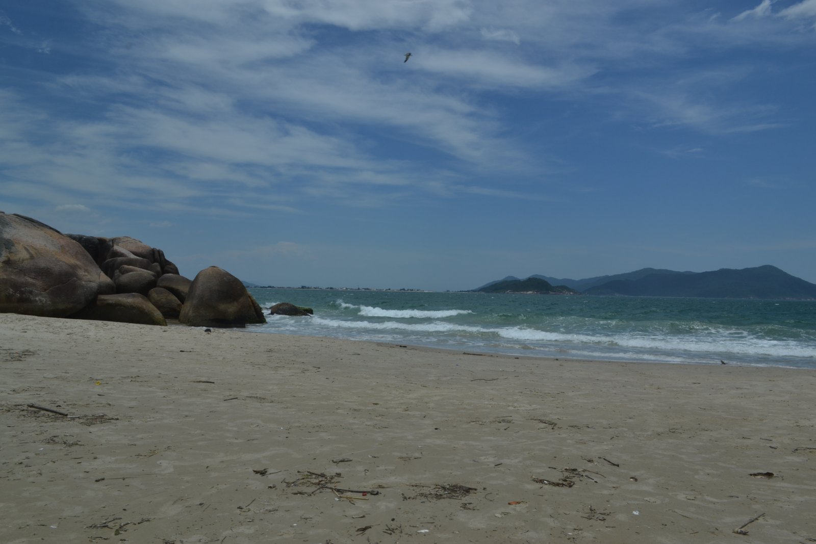 DSC 0128