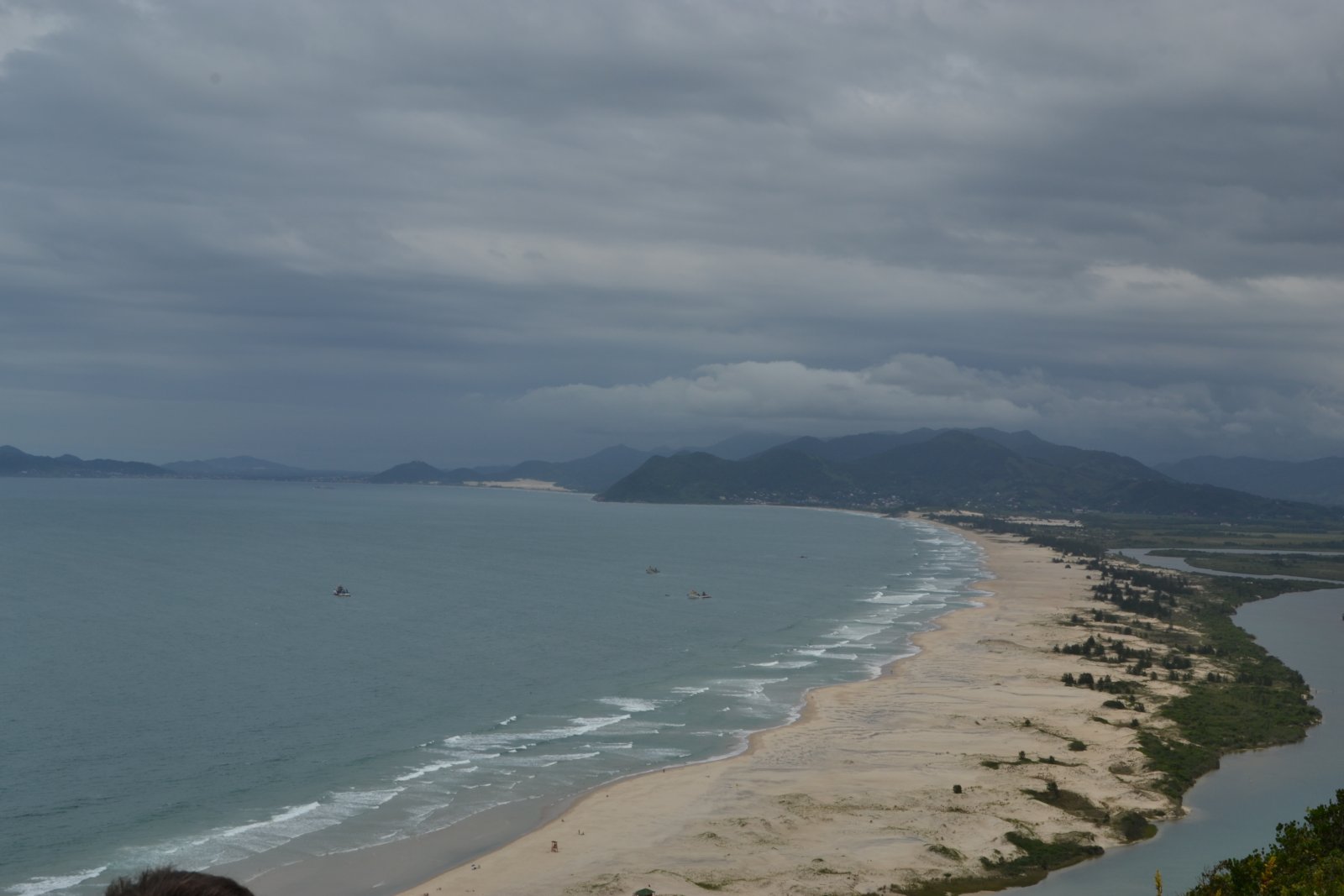 DSC 0142