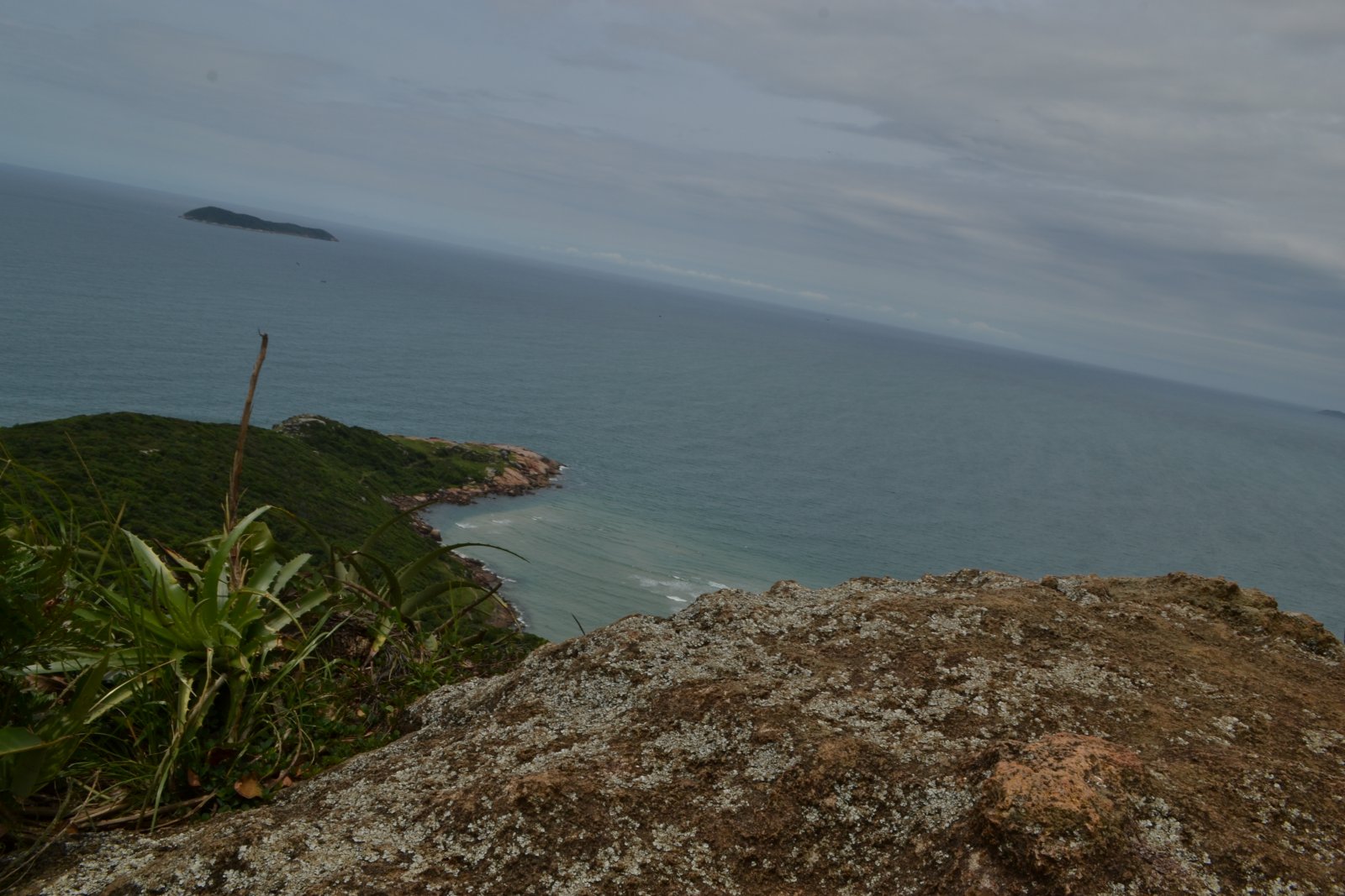 DSC 0151