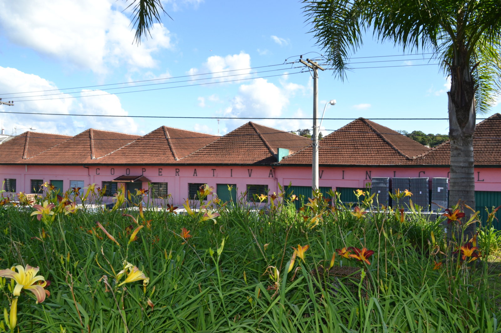 DSC 0157