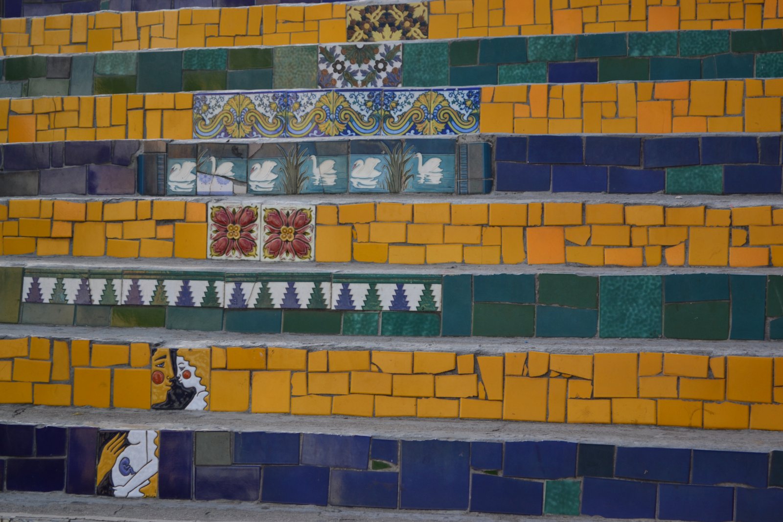 DSC_0601
