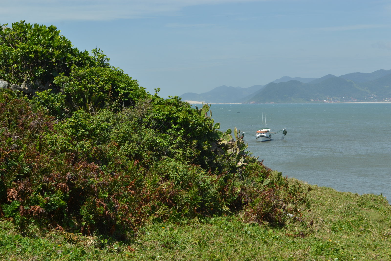 DSC 0889
