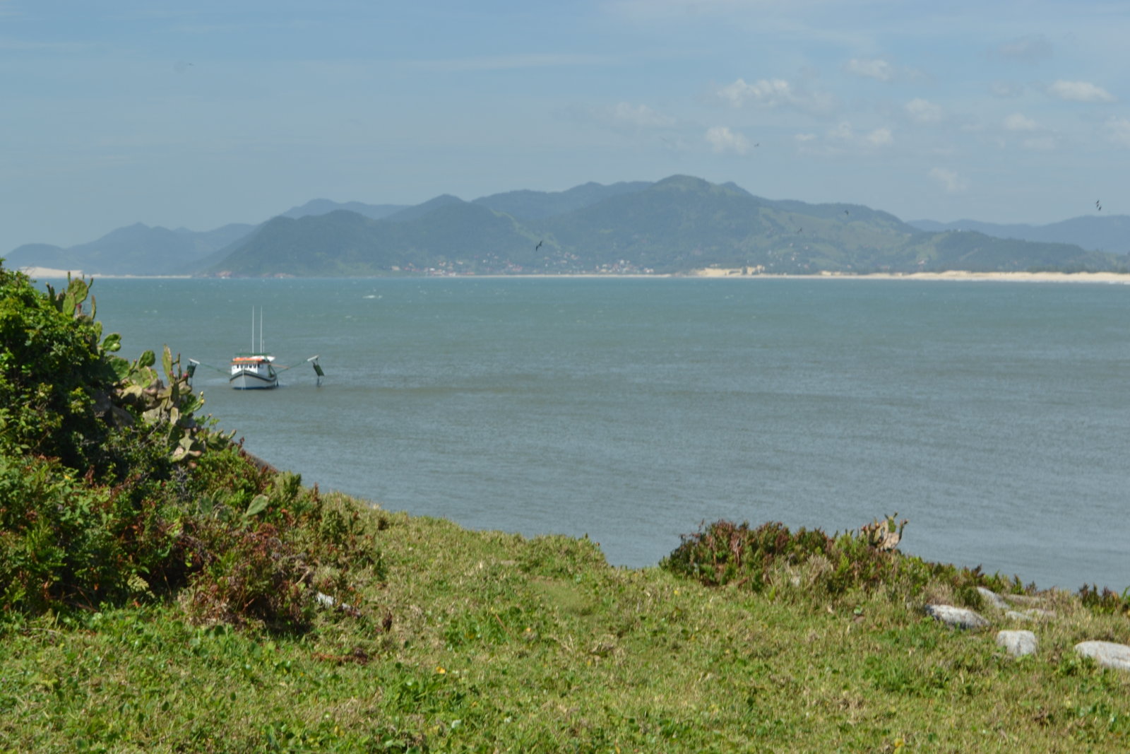 DSC 0890