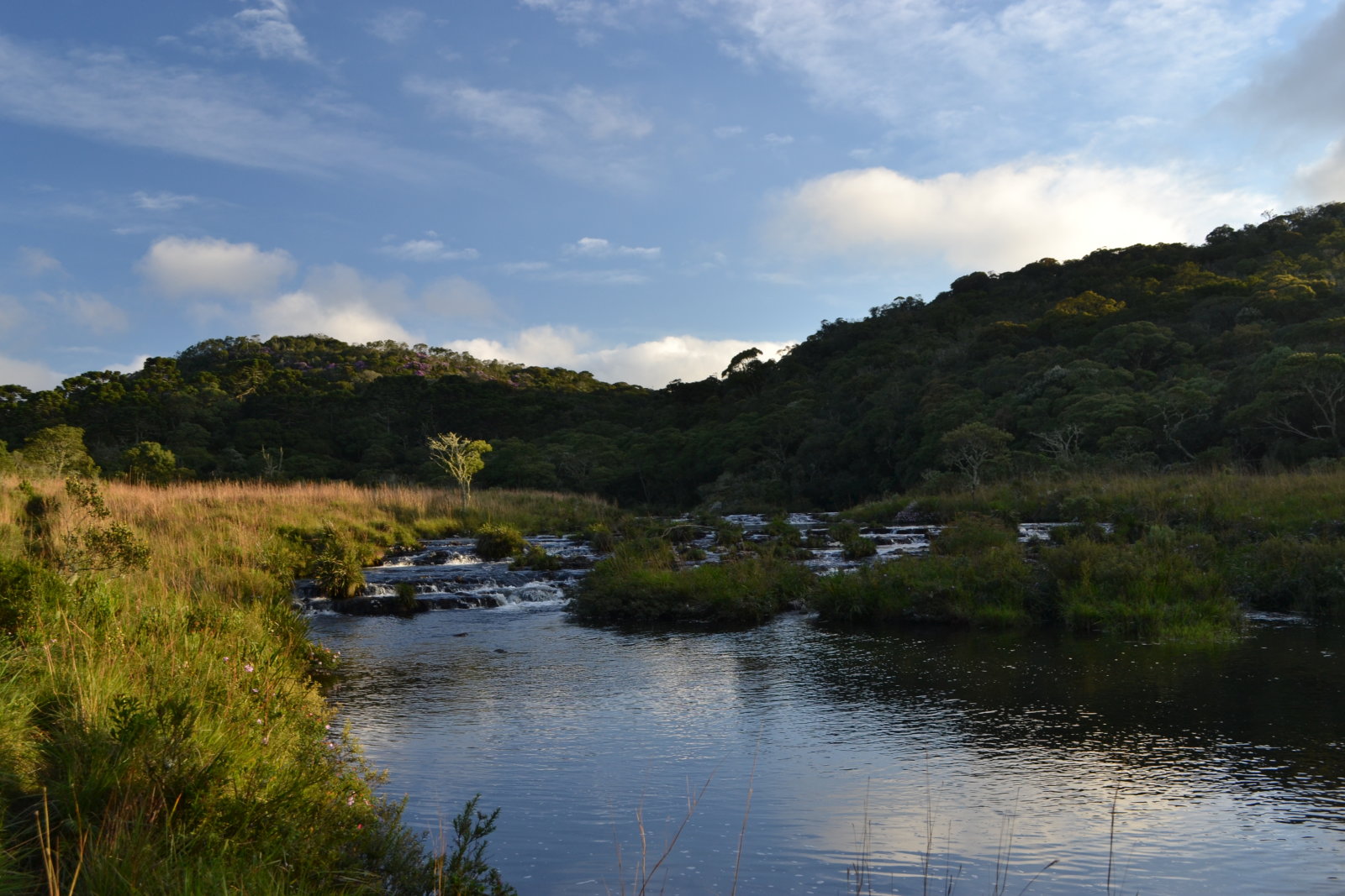DSC 0901