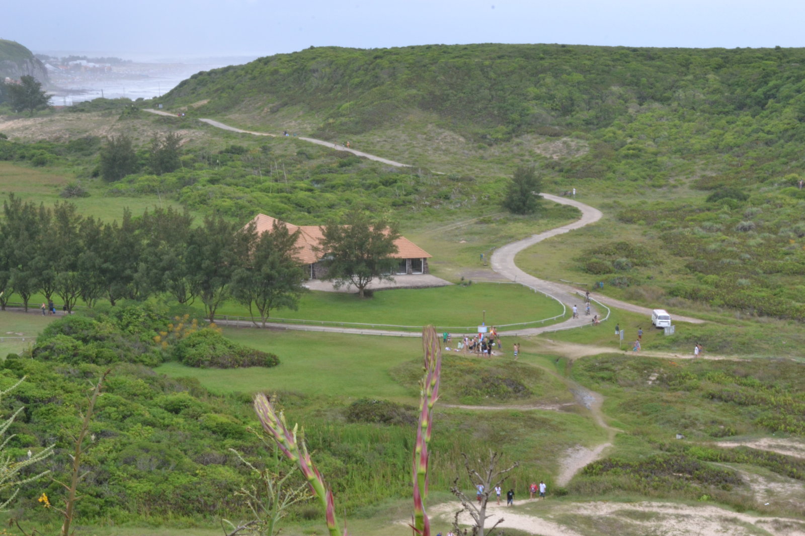DSC 0913