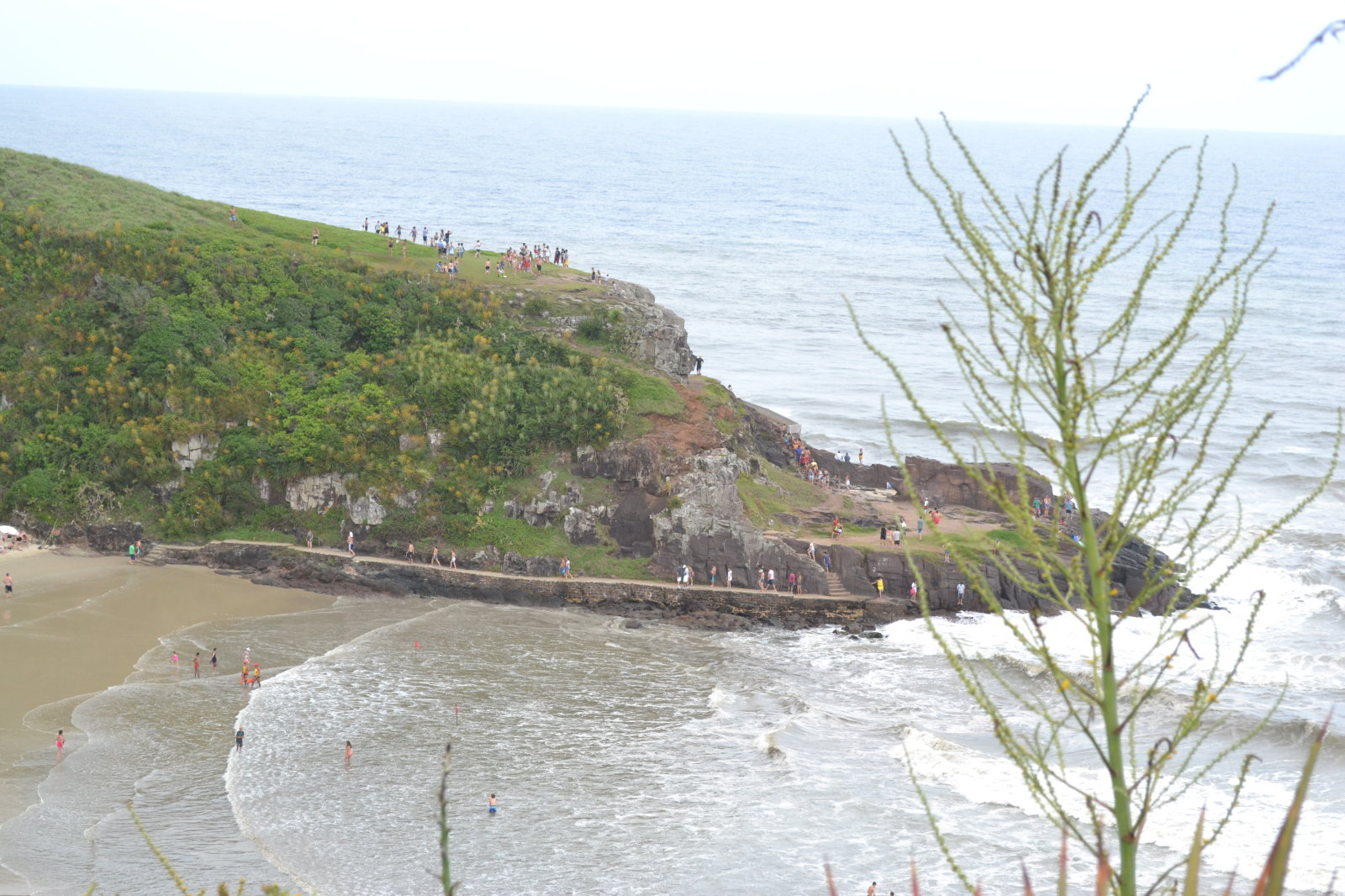 DSC 0915