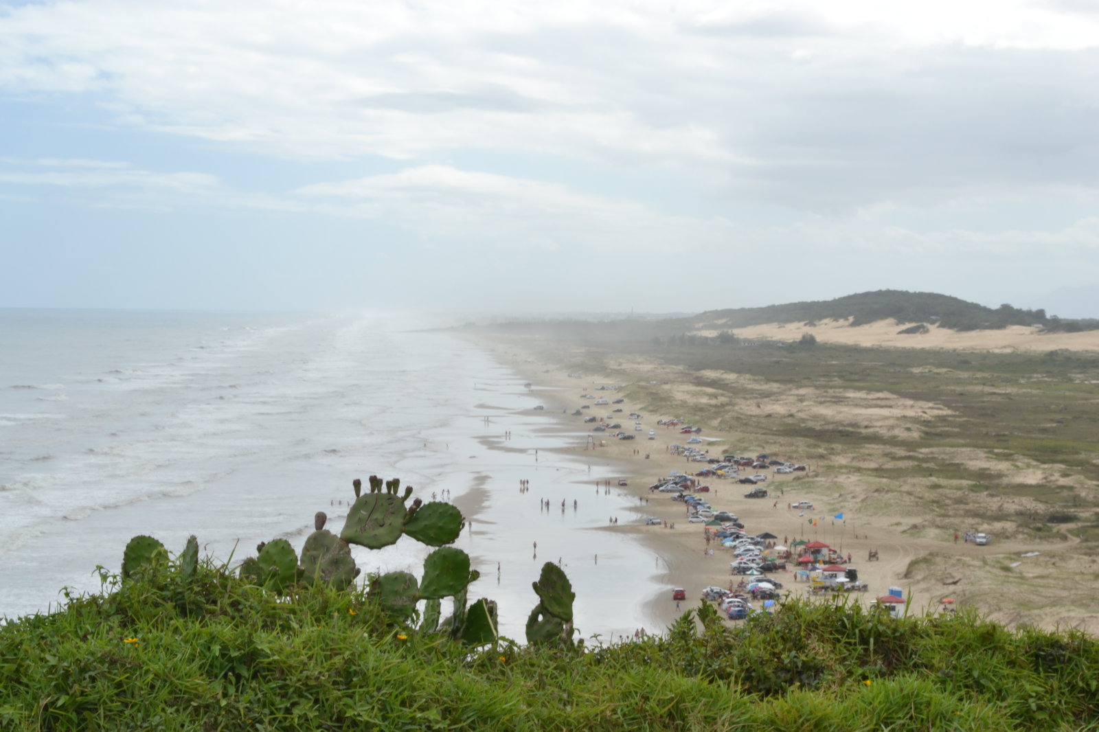 DSC 0920