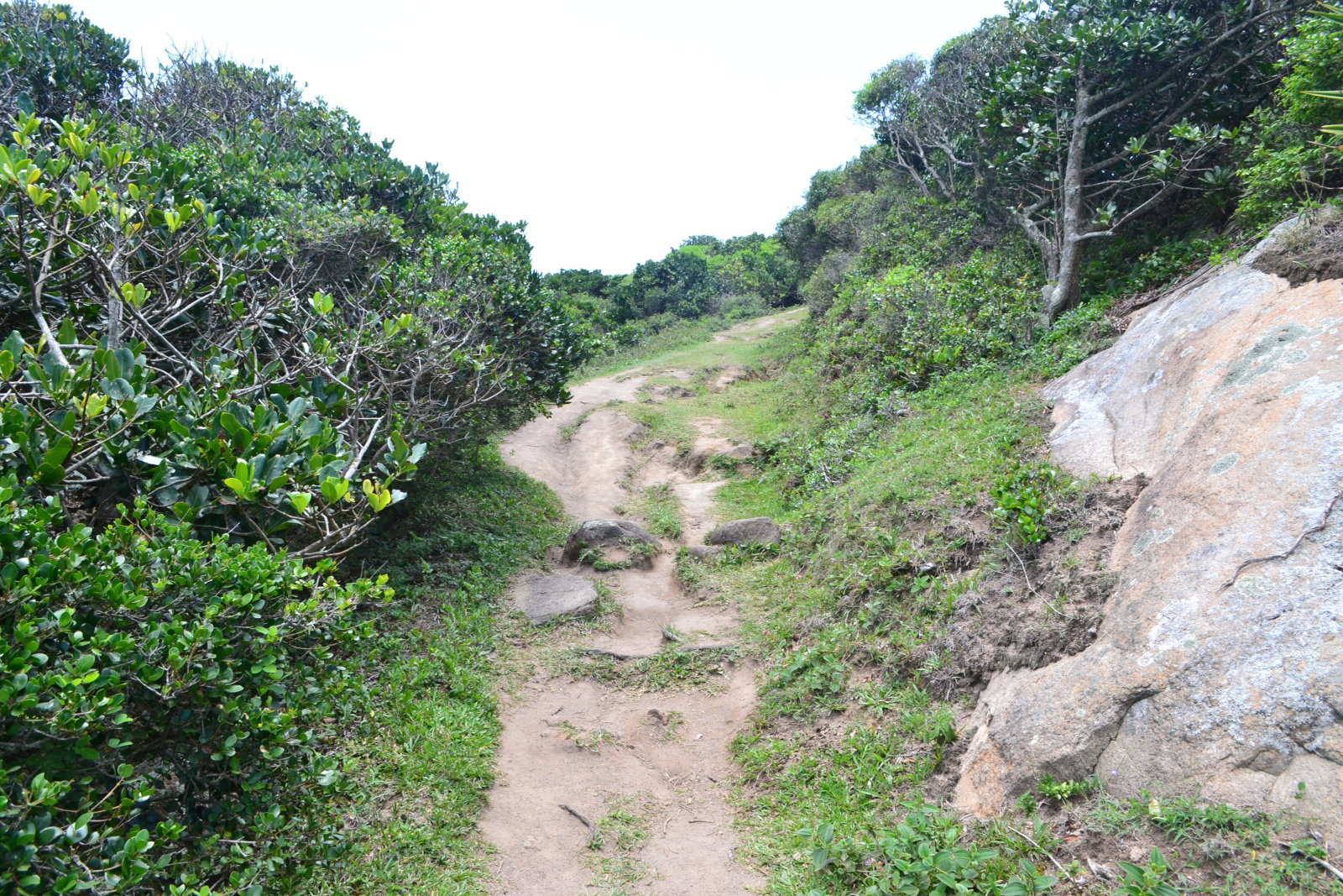 DSC 0952