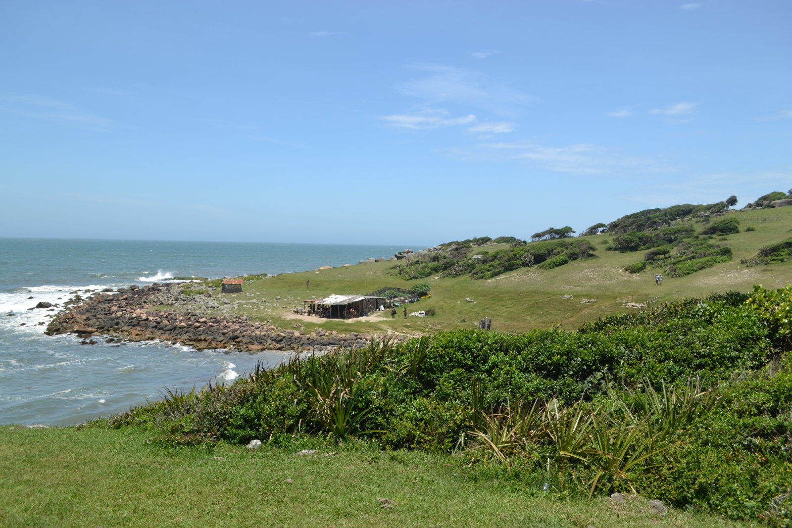 DSC 0960