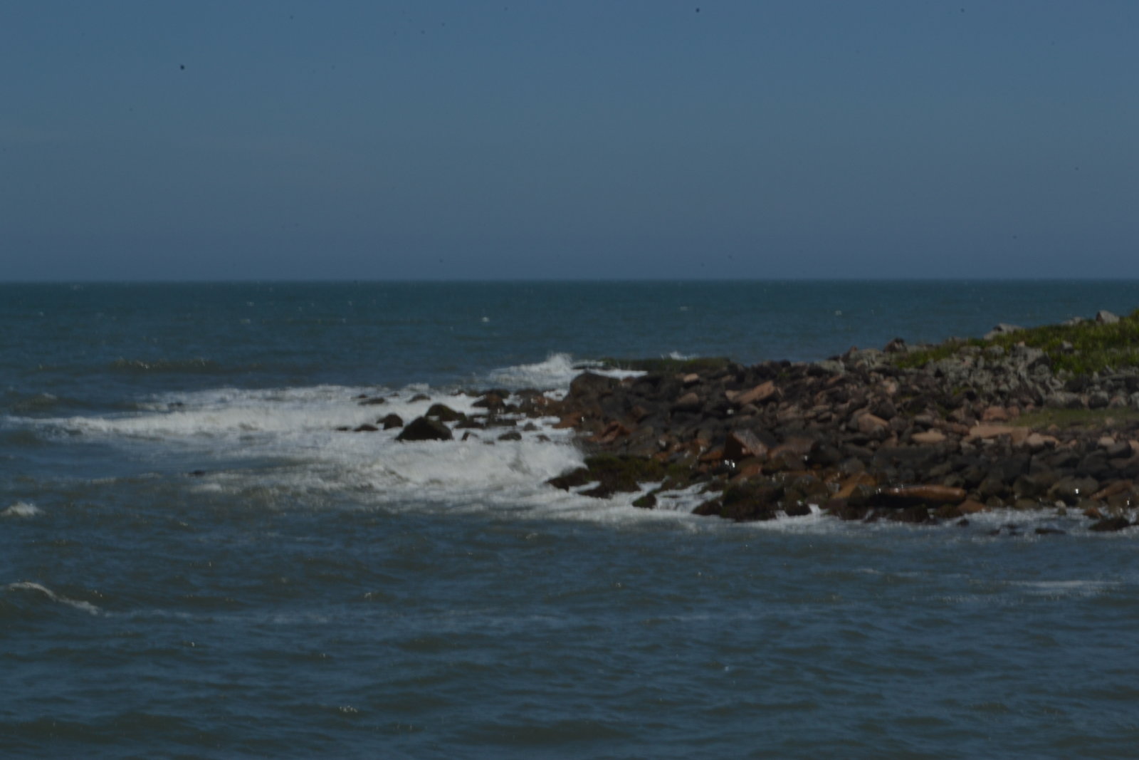 DSC 0963