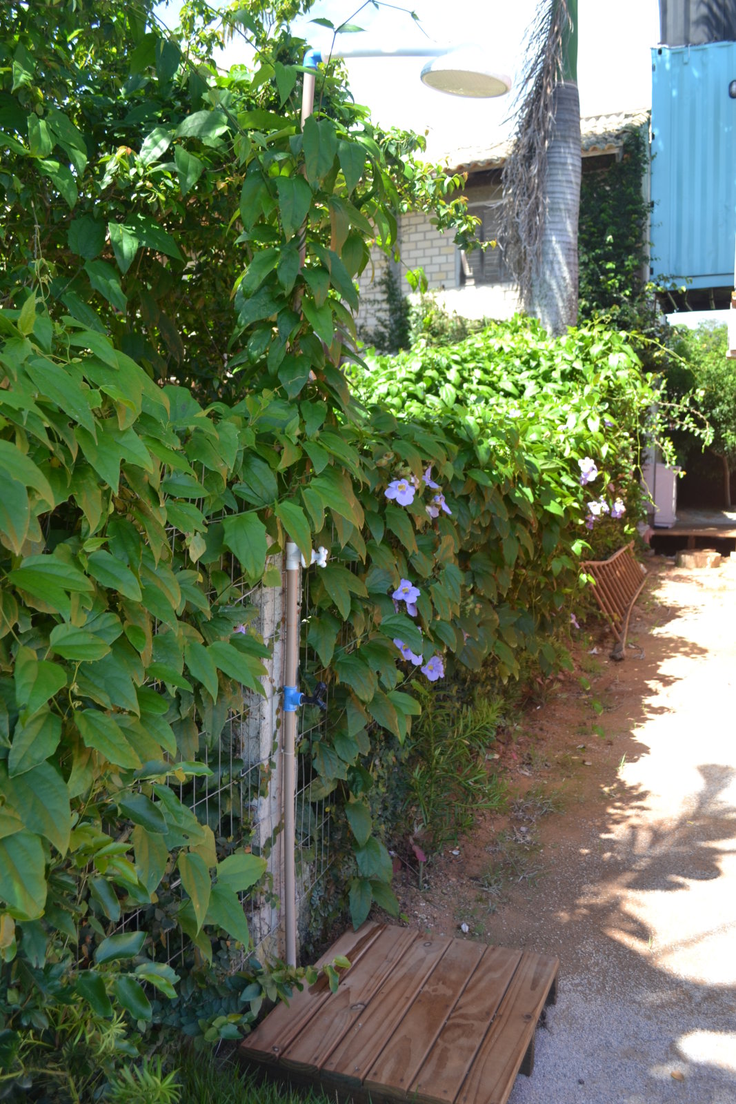 DSC 0982