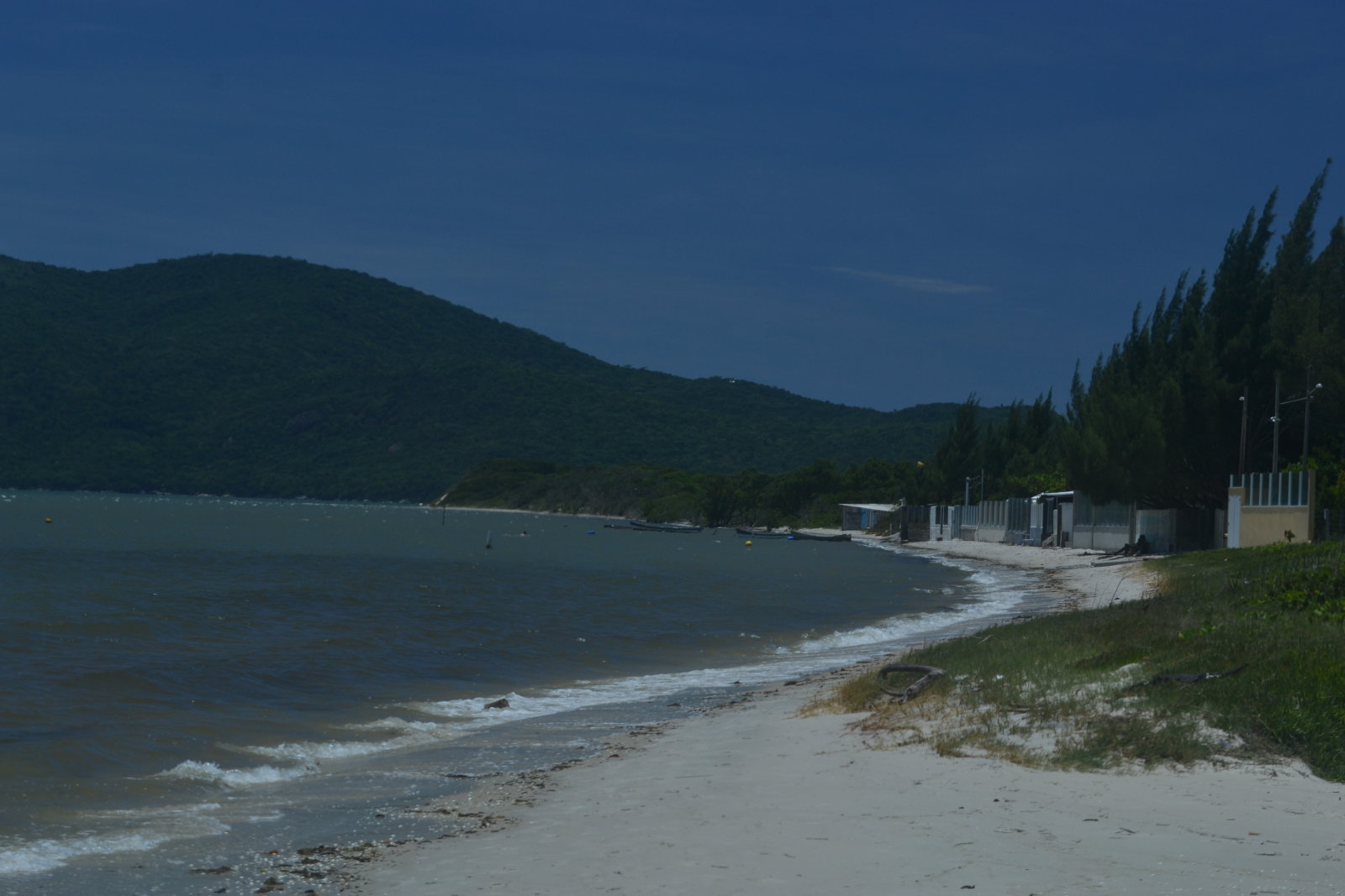 DSC 1012