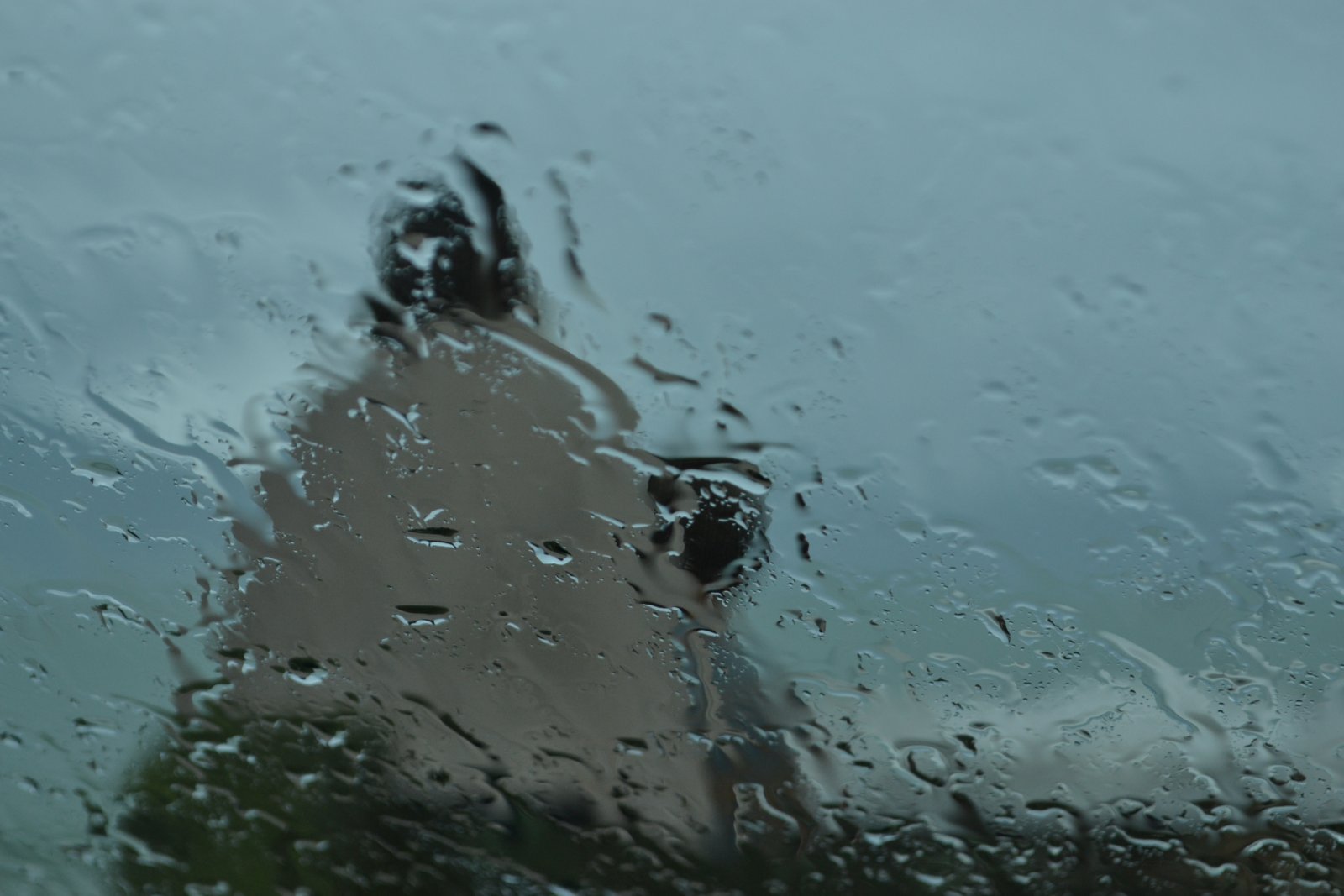 DSC 1522