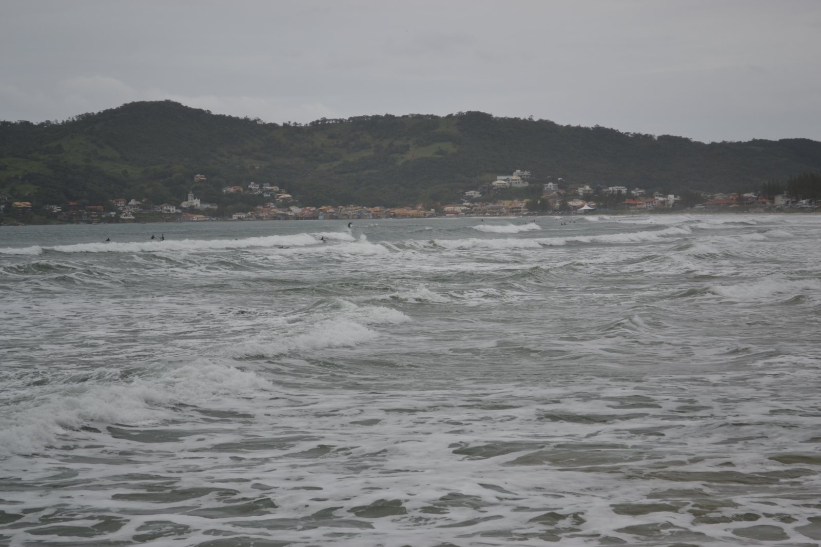 DSC 1638